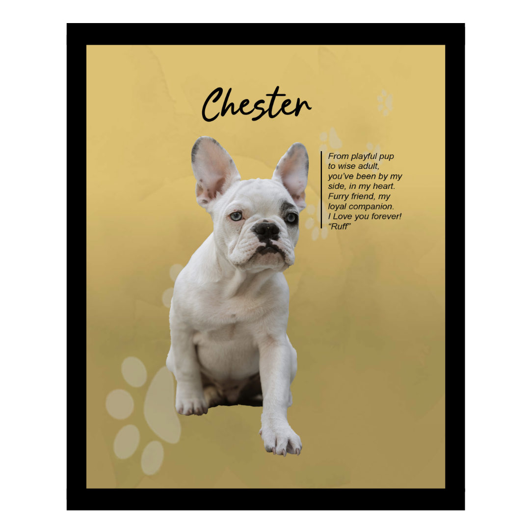 chester (3).png
