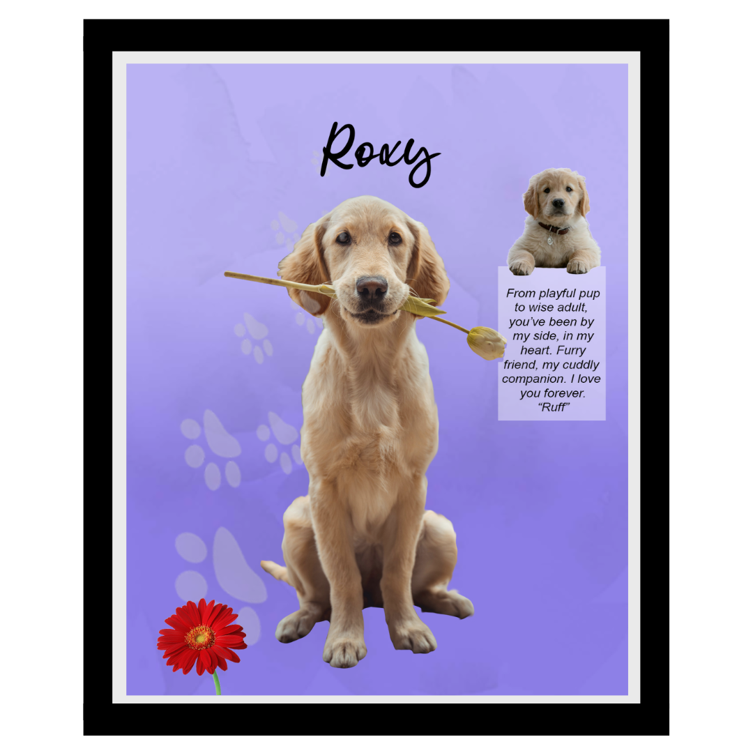 roxy (12).png