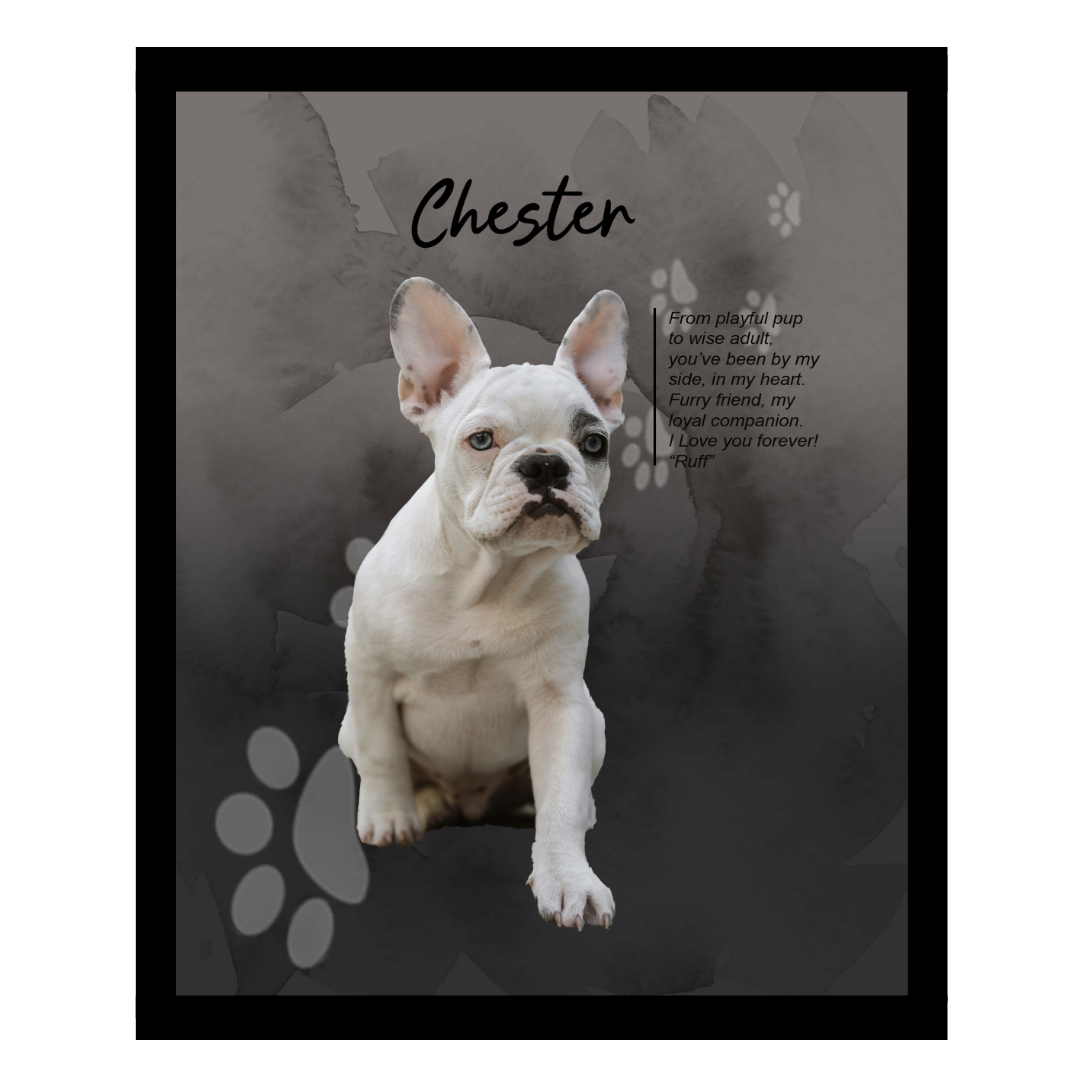 chester (5).png