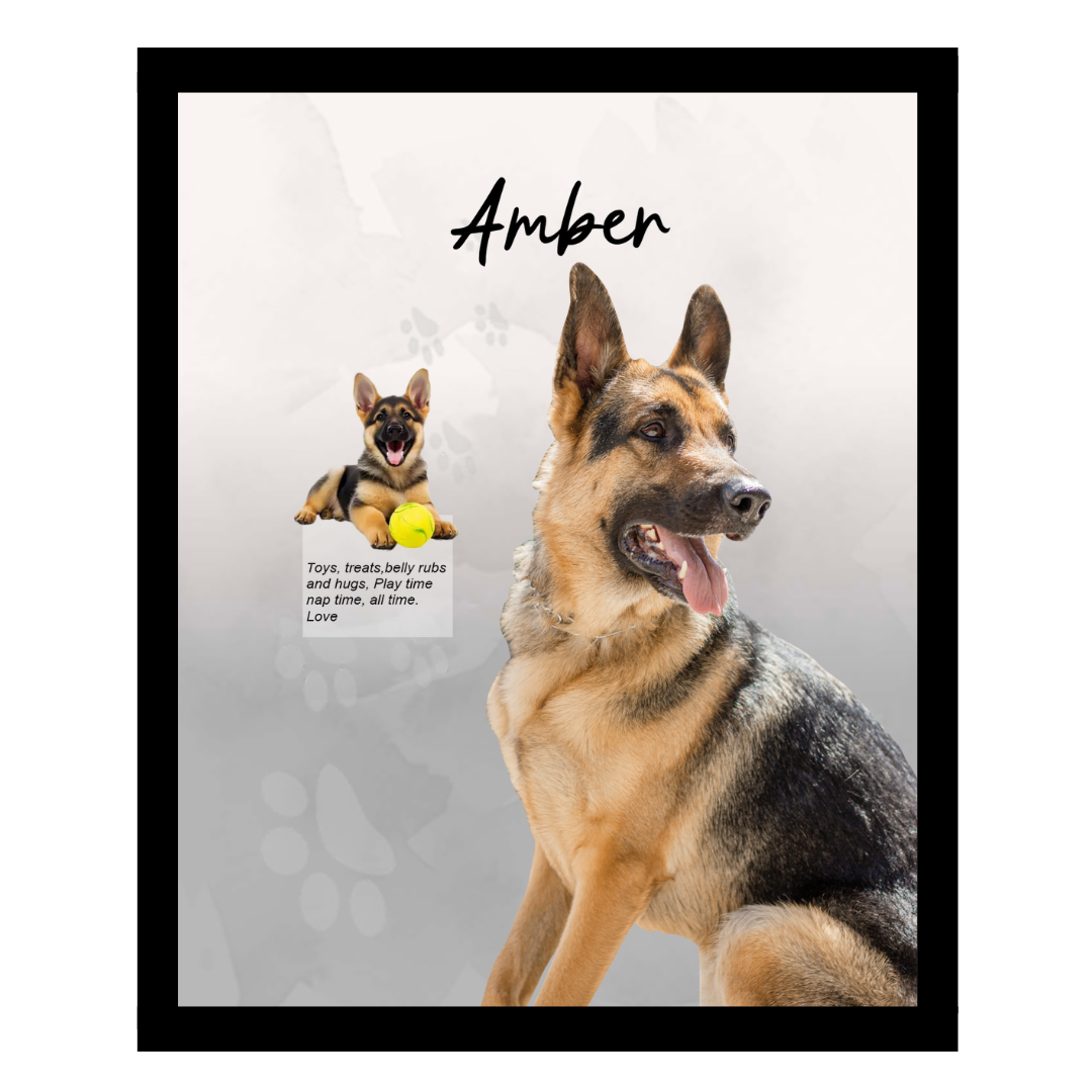 amber (3).png