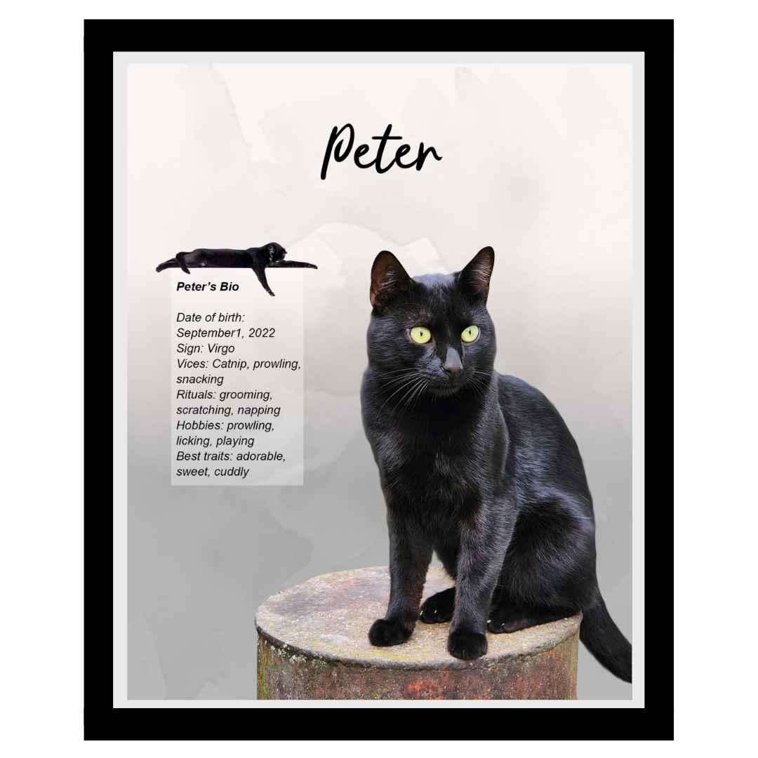 peter (7).png