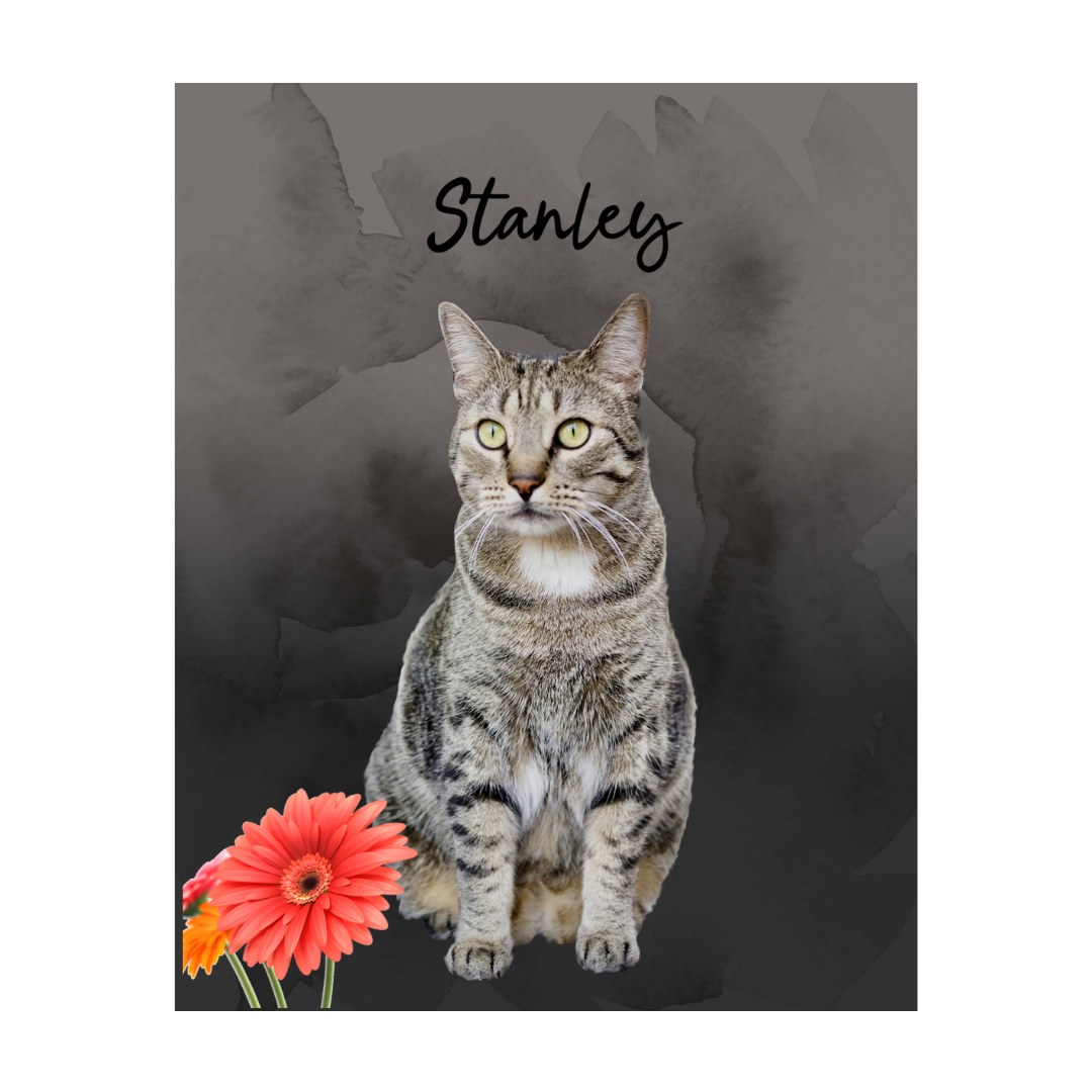 stanley.png