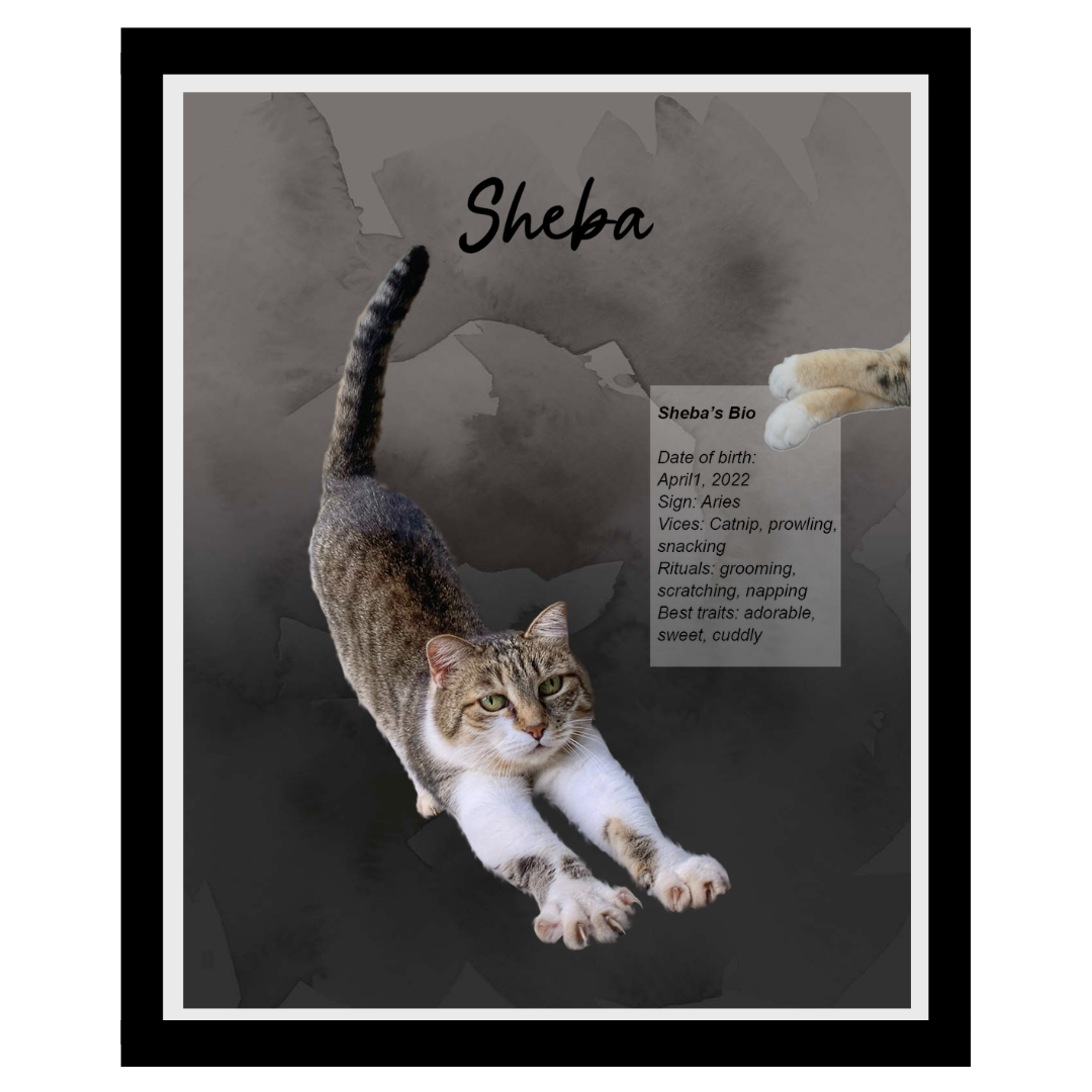 sheba (12).png