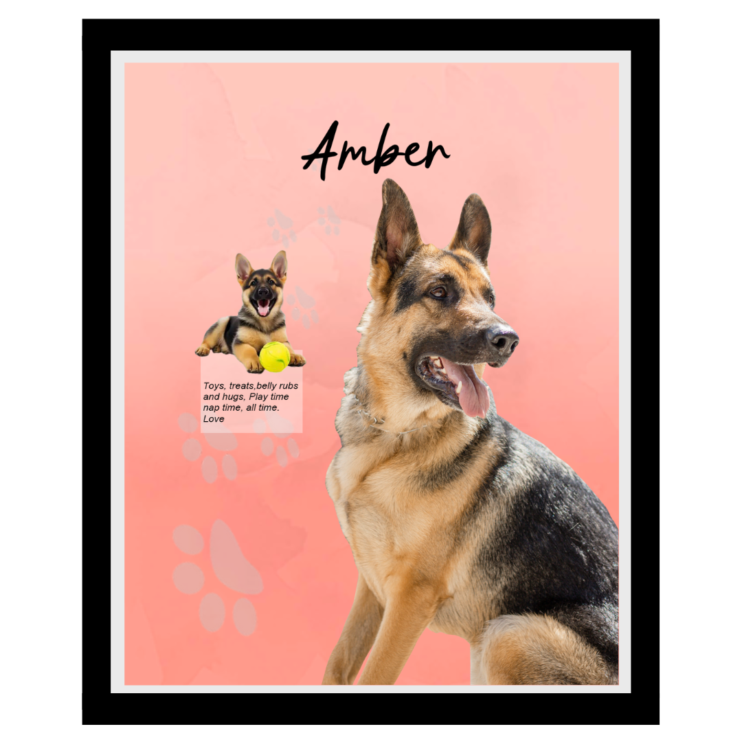amber (5).png