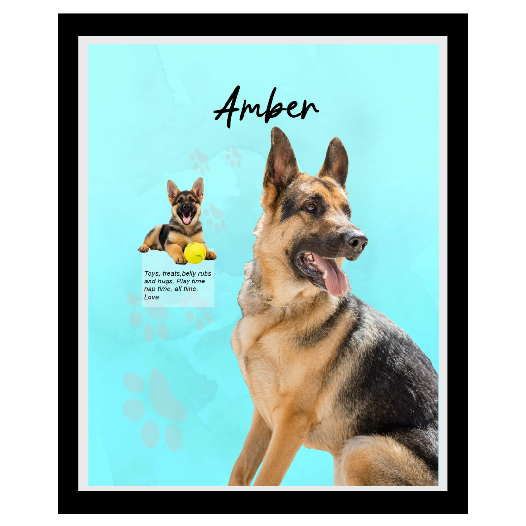 amber (8).png