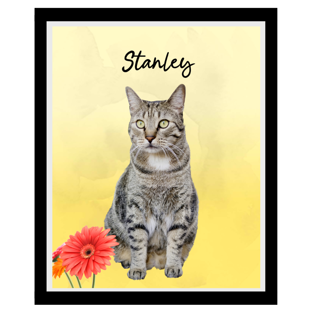 stanley (11).png