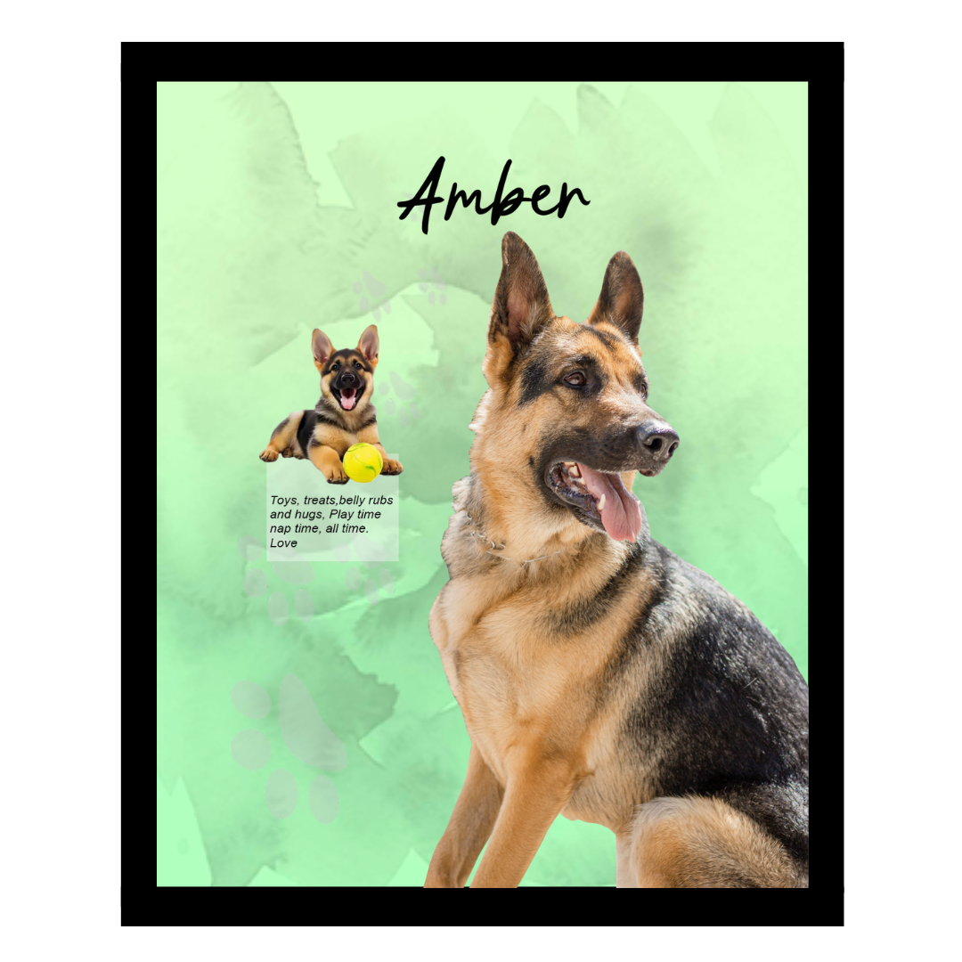 amber (4).png