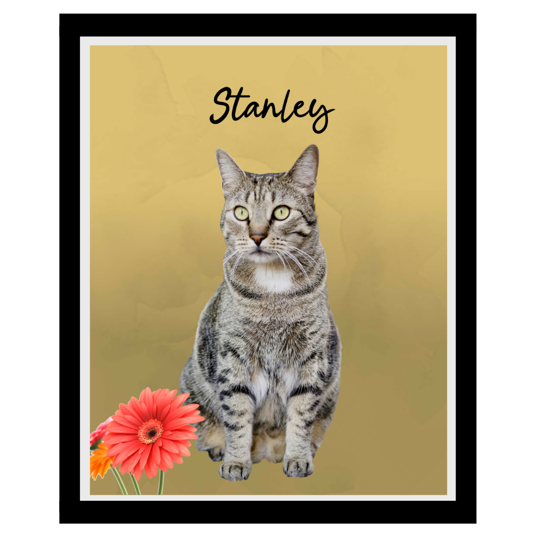stanley (5).png