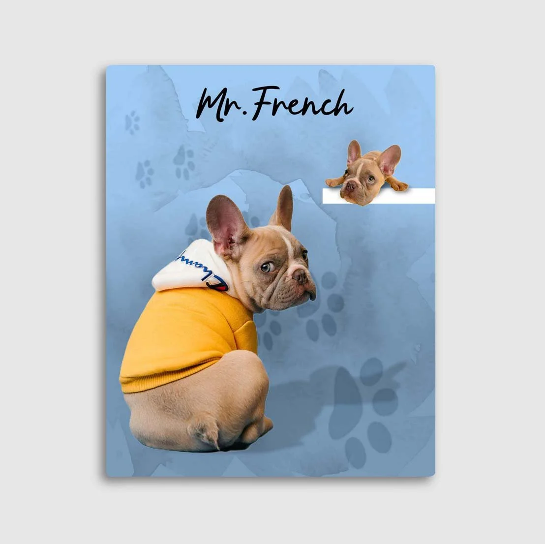 Mr french 2 blue w_o type.jpg