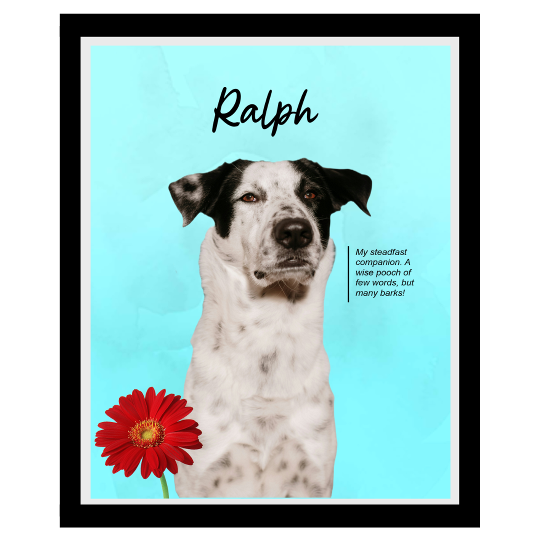 ralph (6).png