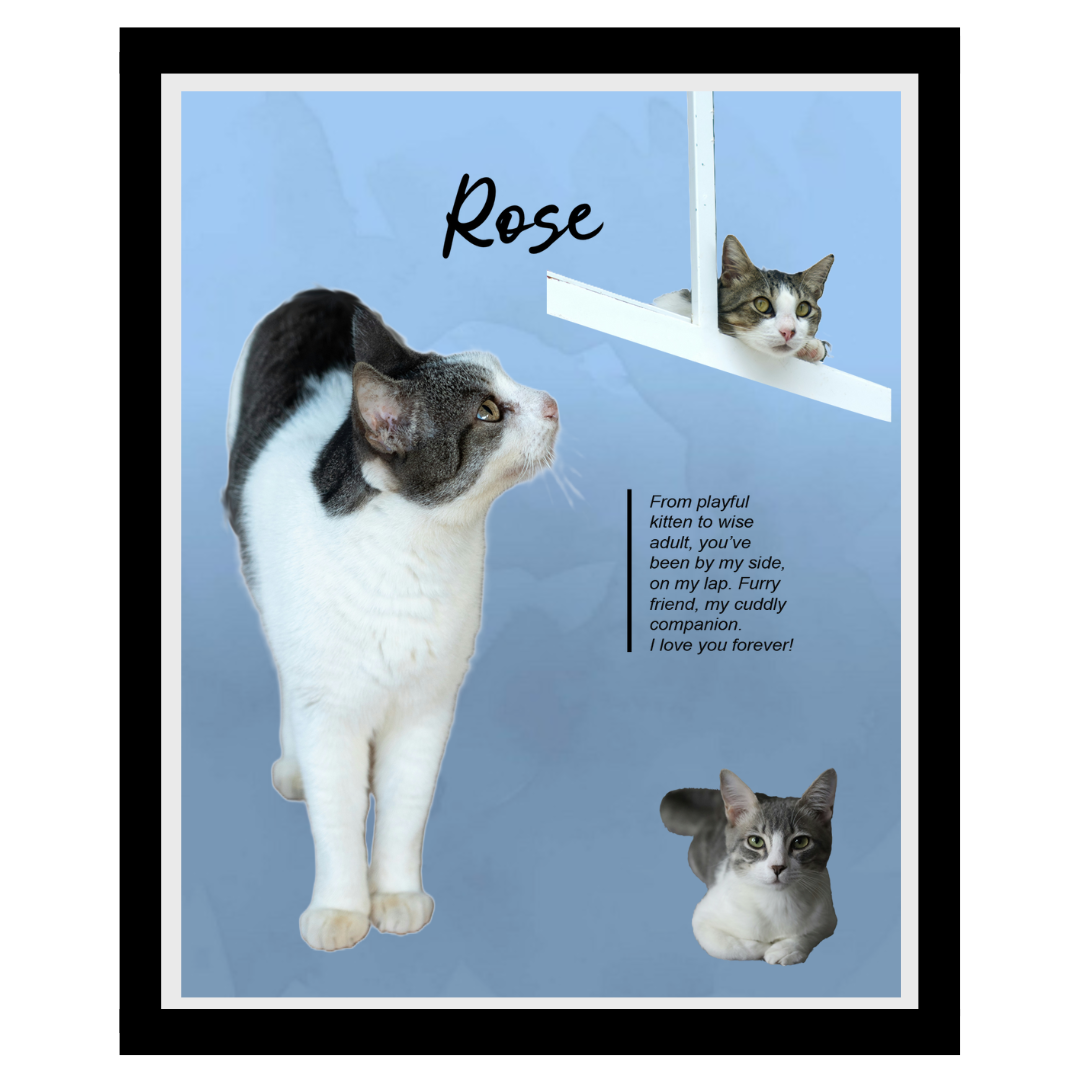 rose.png