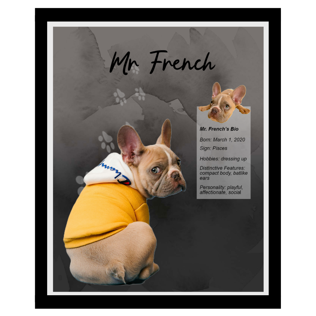 mr french.png