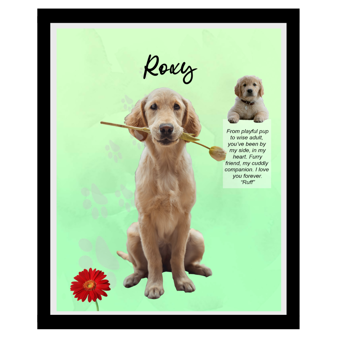 roxy (3).png