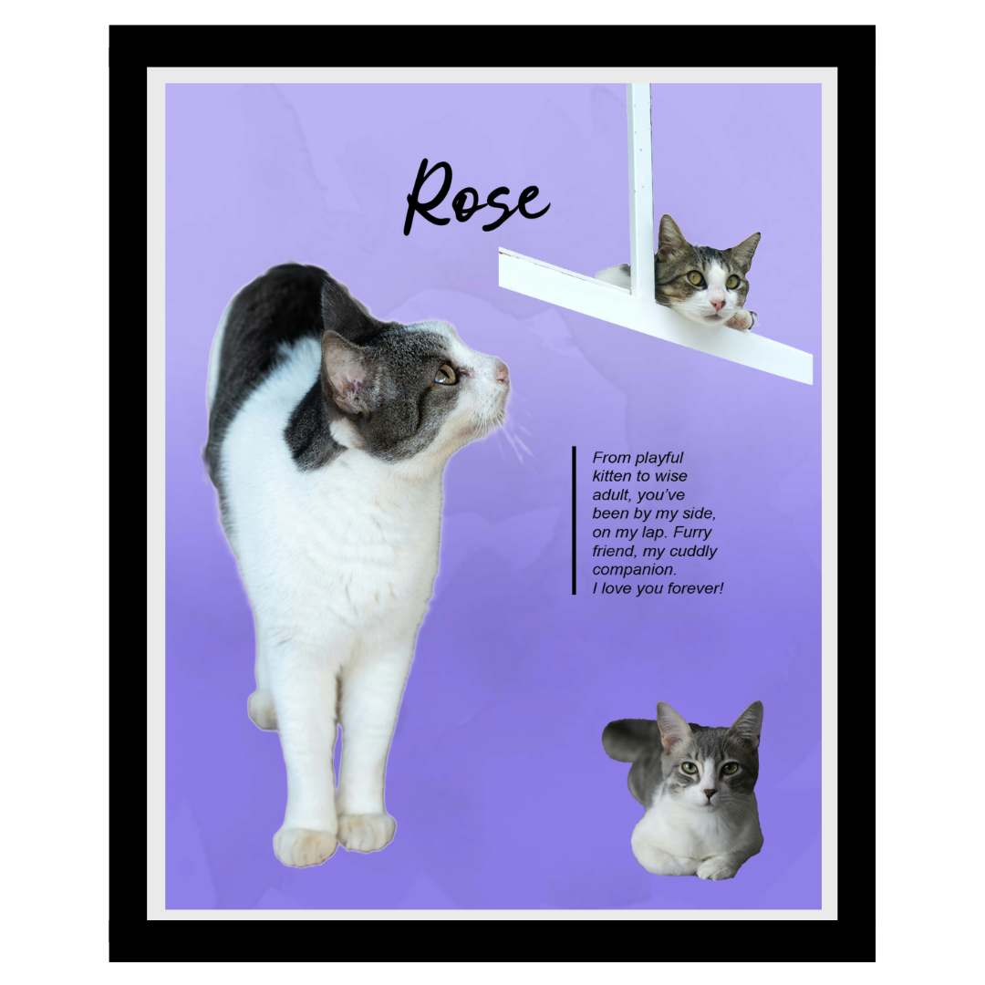 rose (12).png