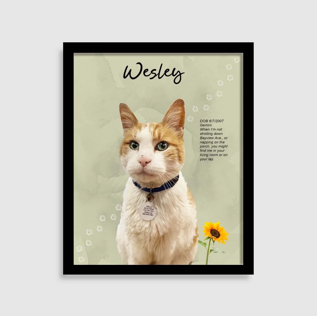 Westley sage 1T.jpg (Copy)