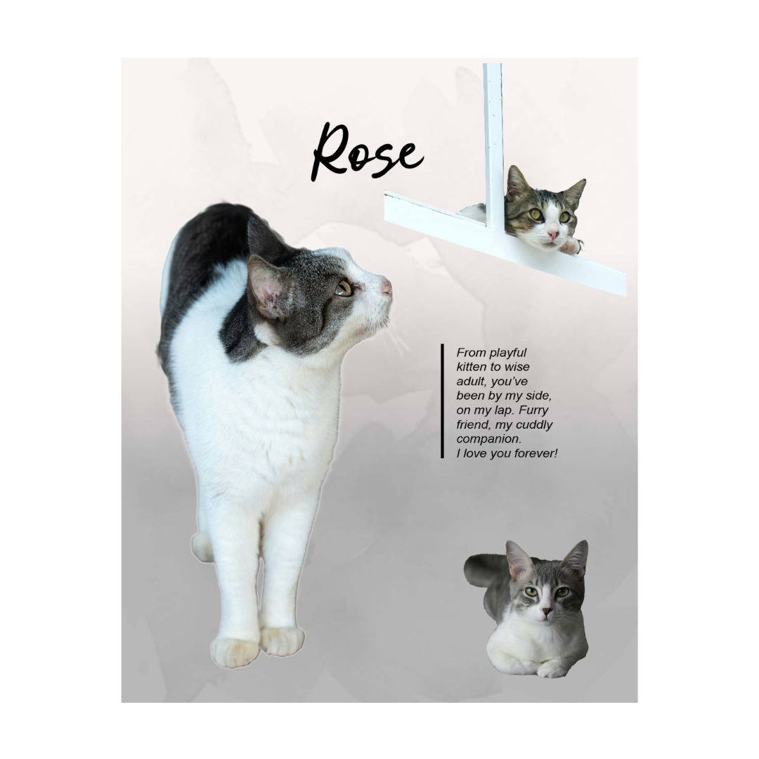 rose (3).png