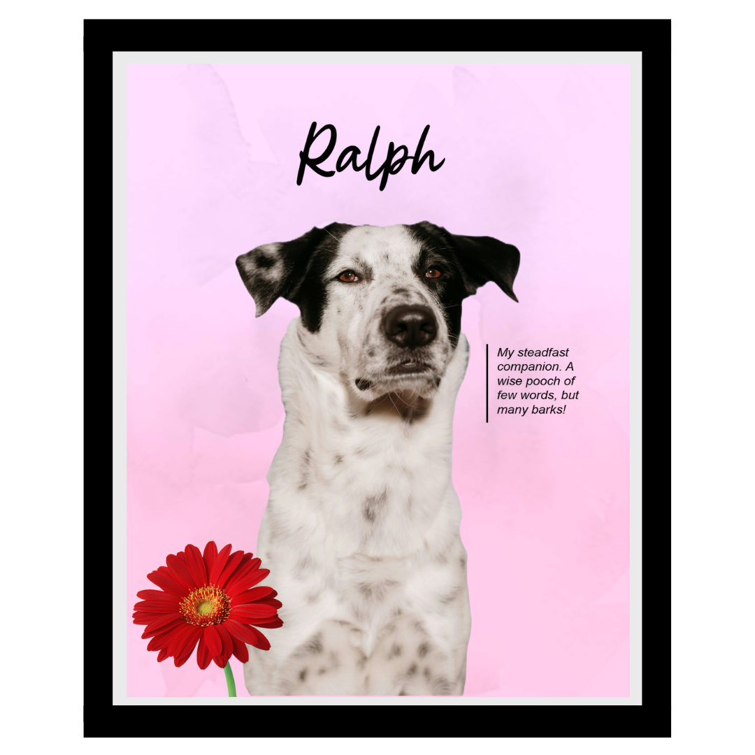 ralph (12).png