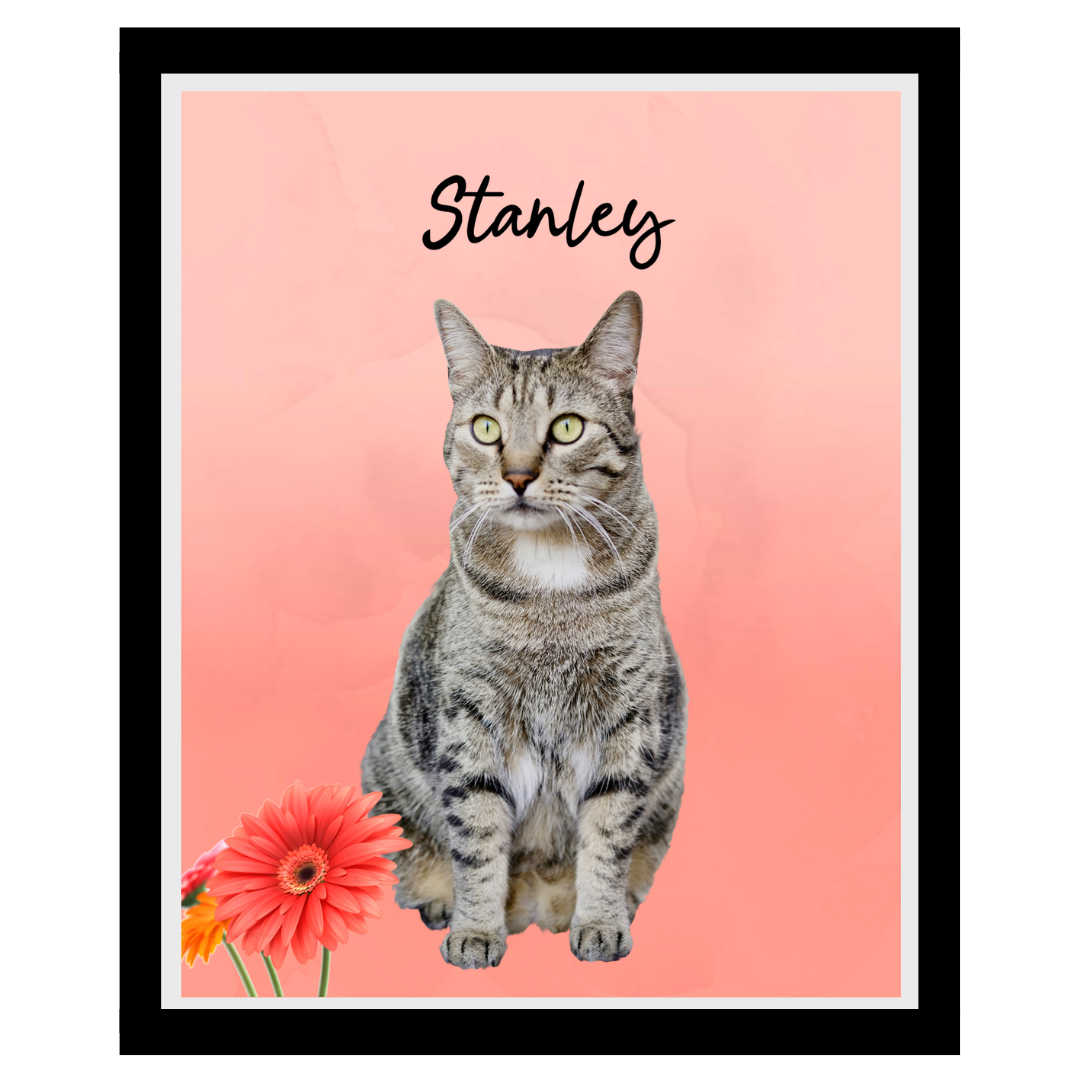 stanley (6).png