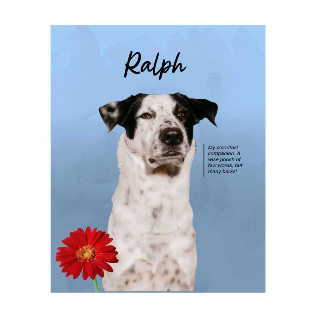 ralph (5).png