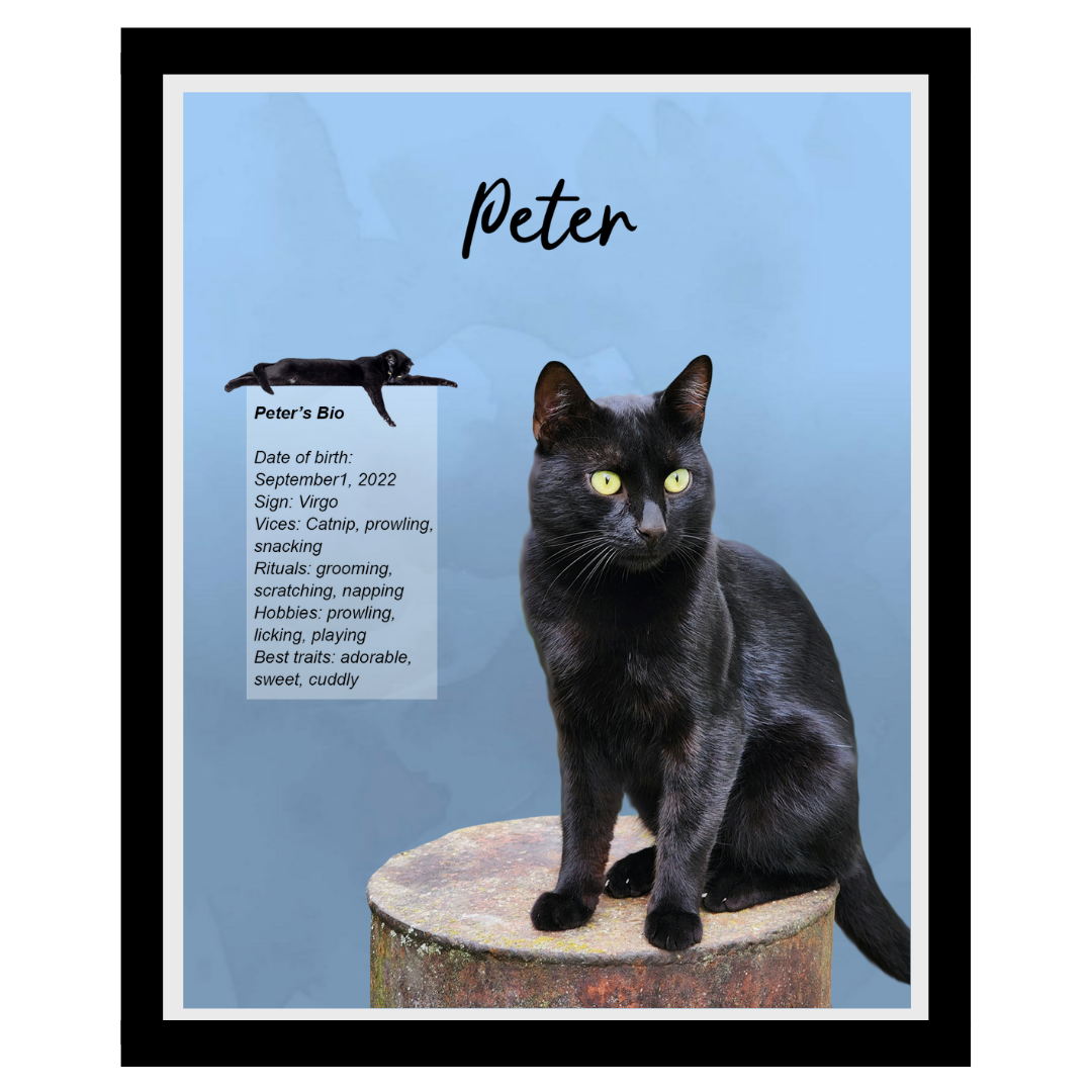 peter (2).png