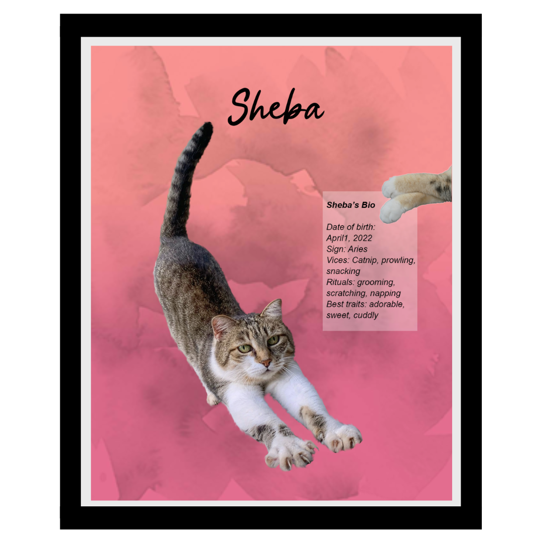sheba (7).png