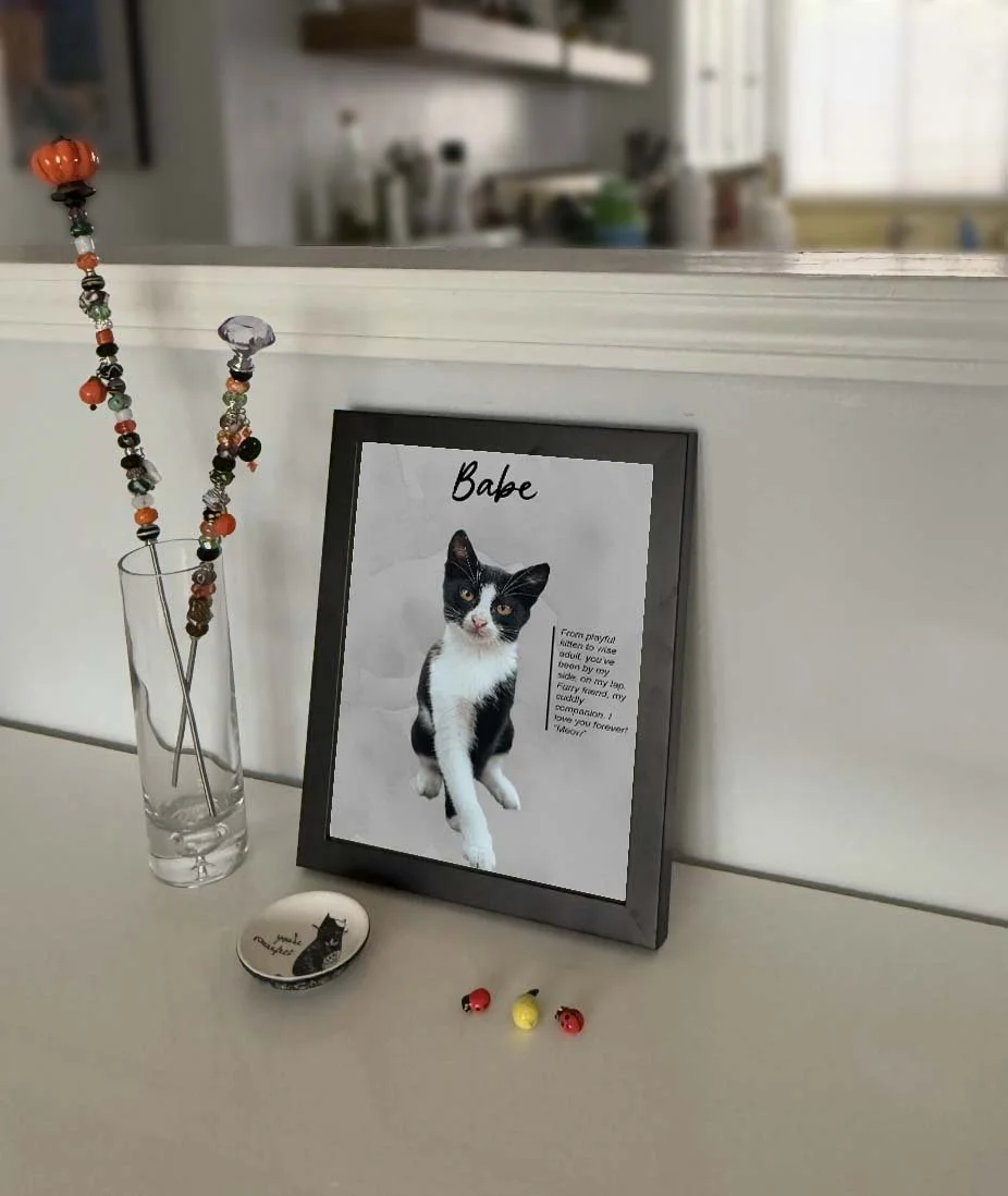 8X10 babe wall frame1.jpg