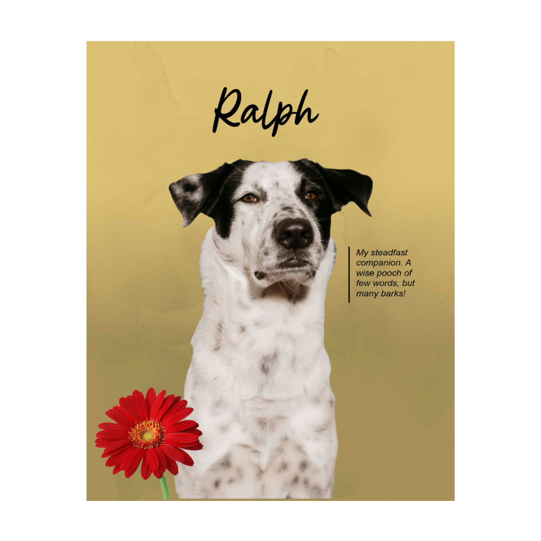 ralph (4).png