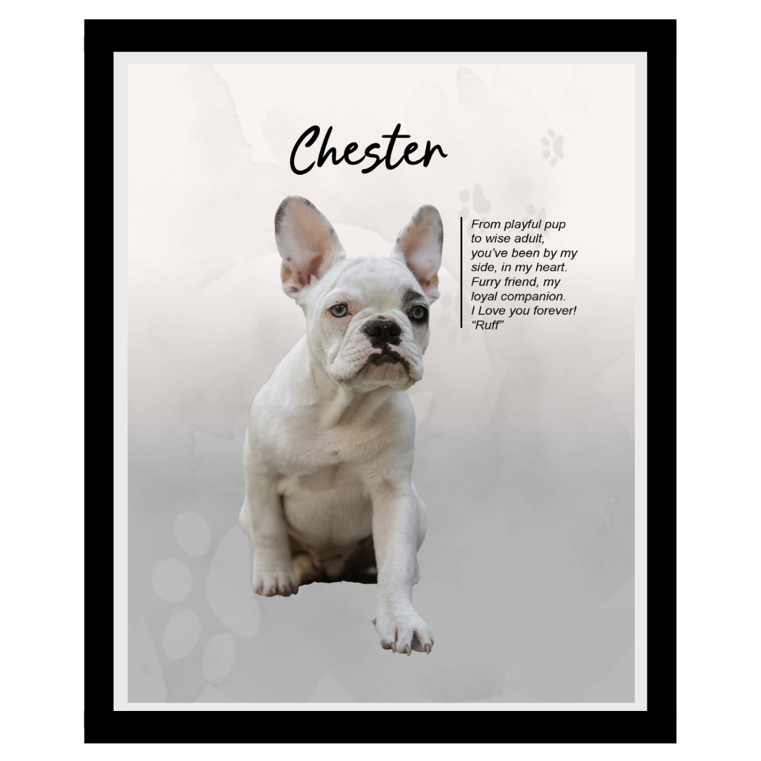 chester (7).png