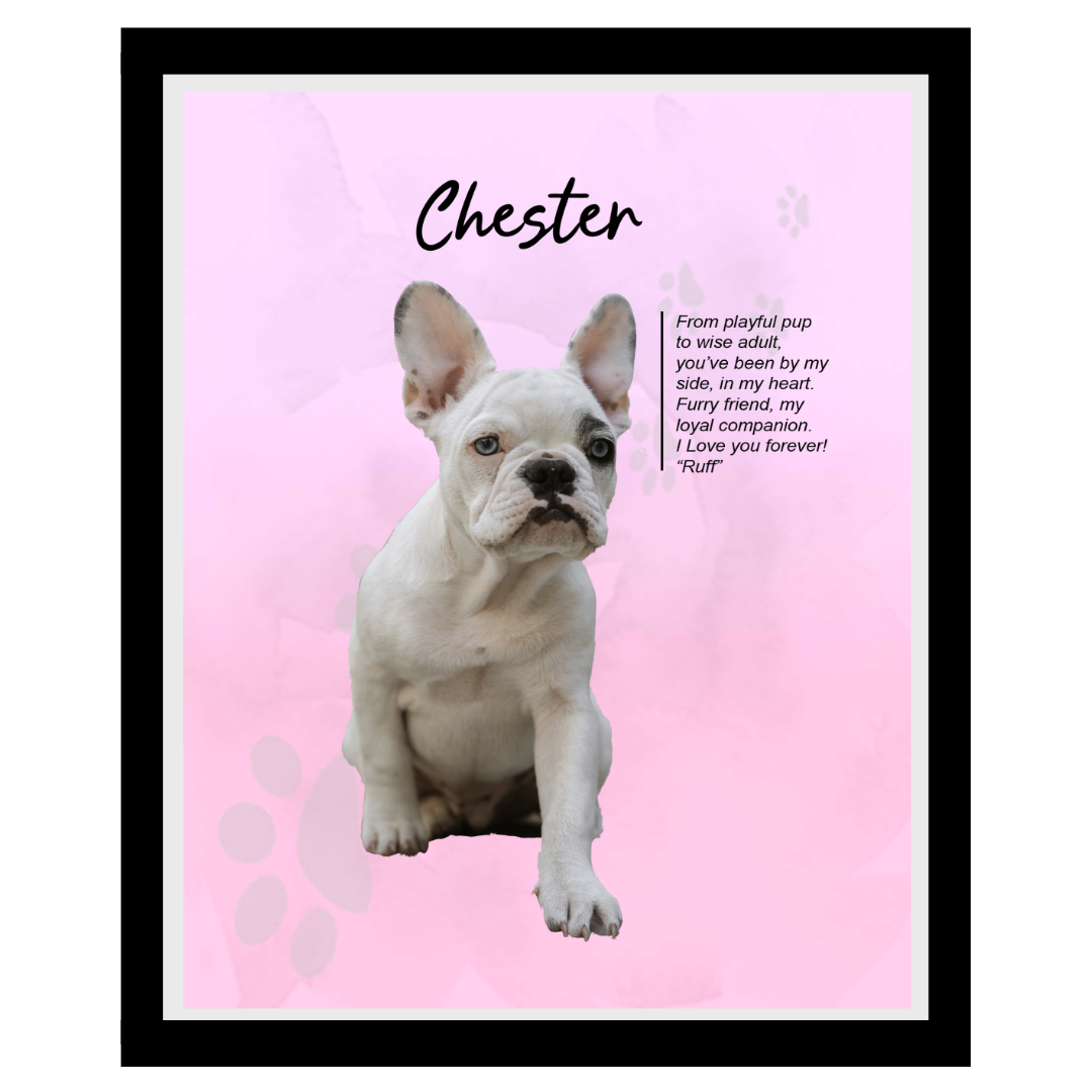 chester (11).png