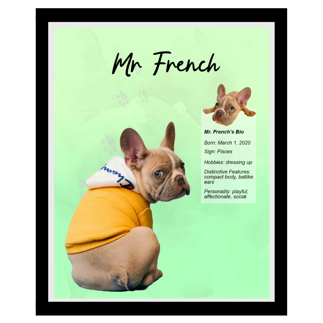 mr french (4).png