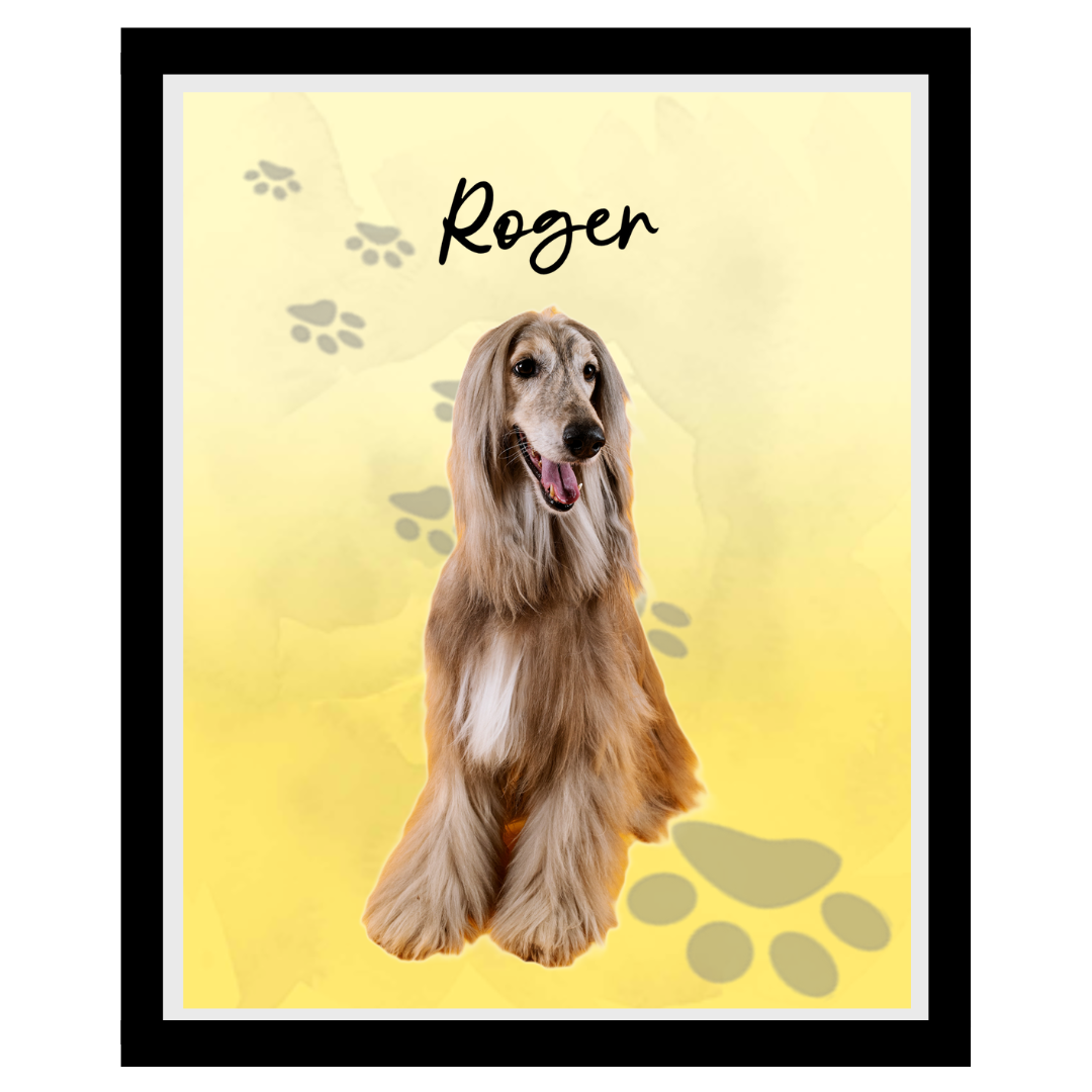 roger (4).png