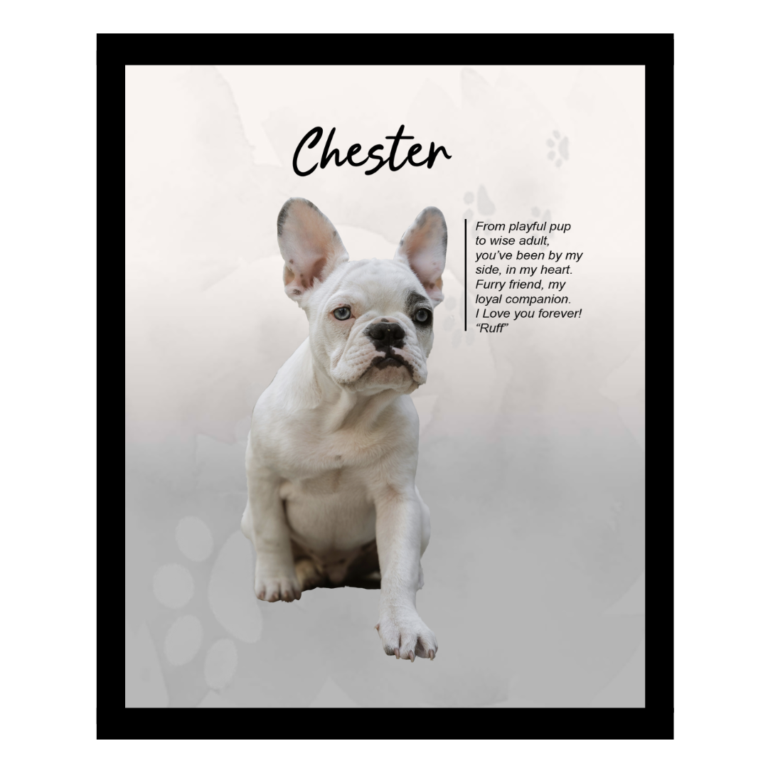 chester (2).png