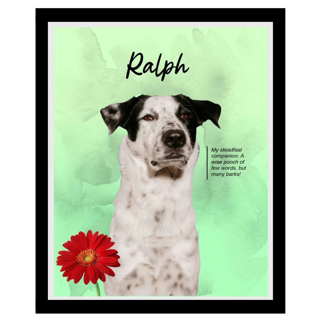 ralph (5).png