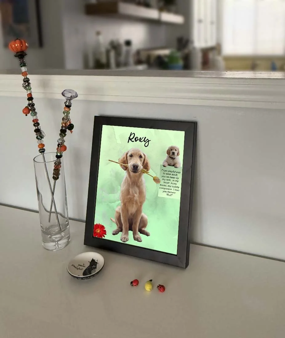 8X10 roxy wall frame1.jpg