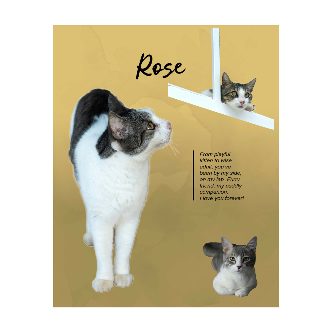 rose (2).png