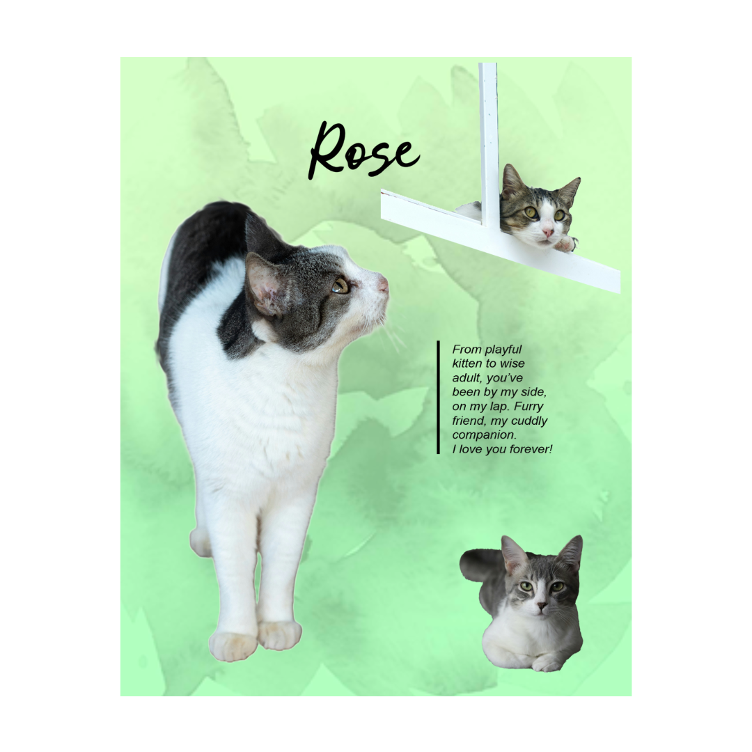 rose (4).png