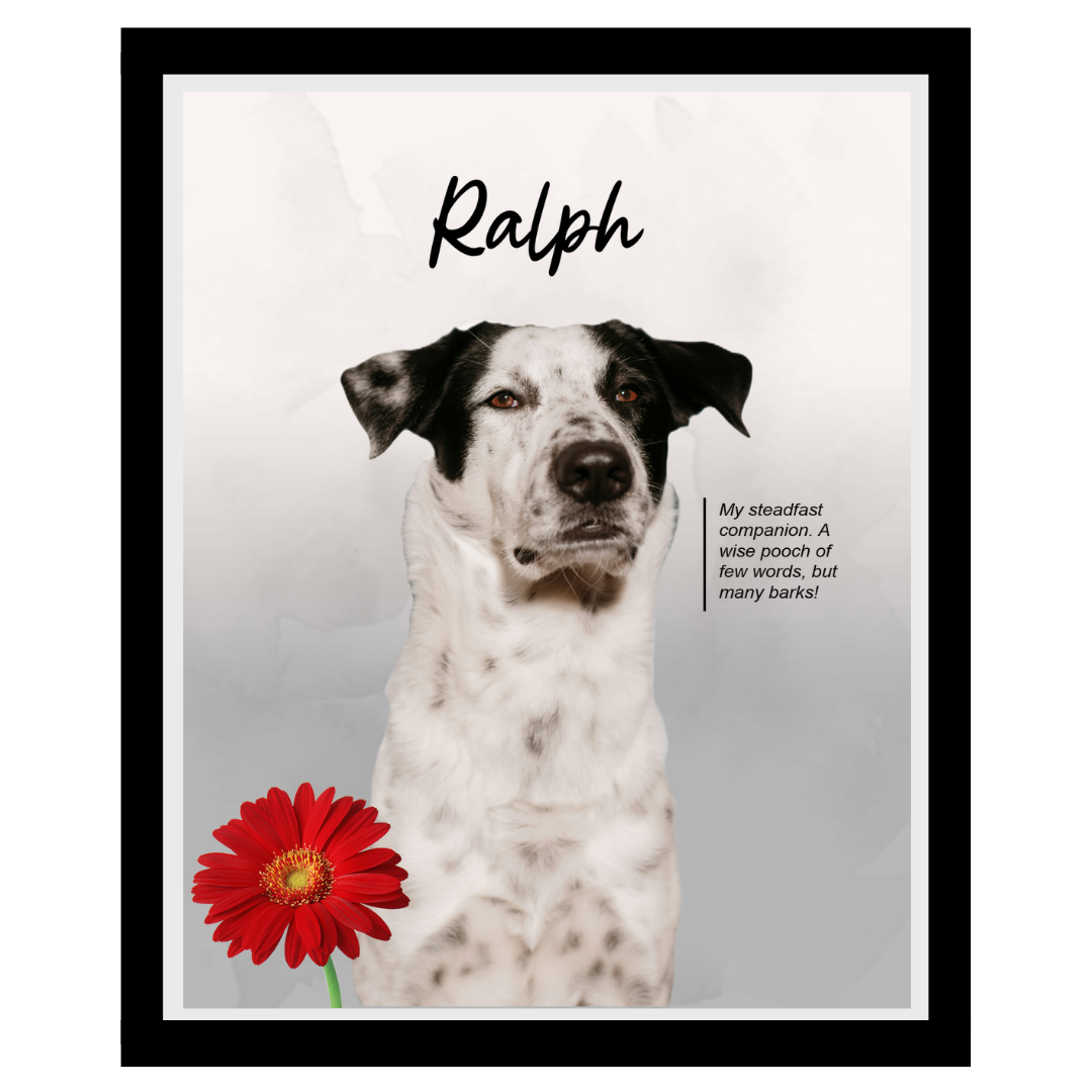 ralph (8).png
