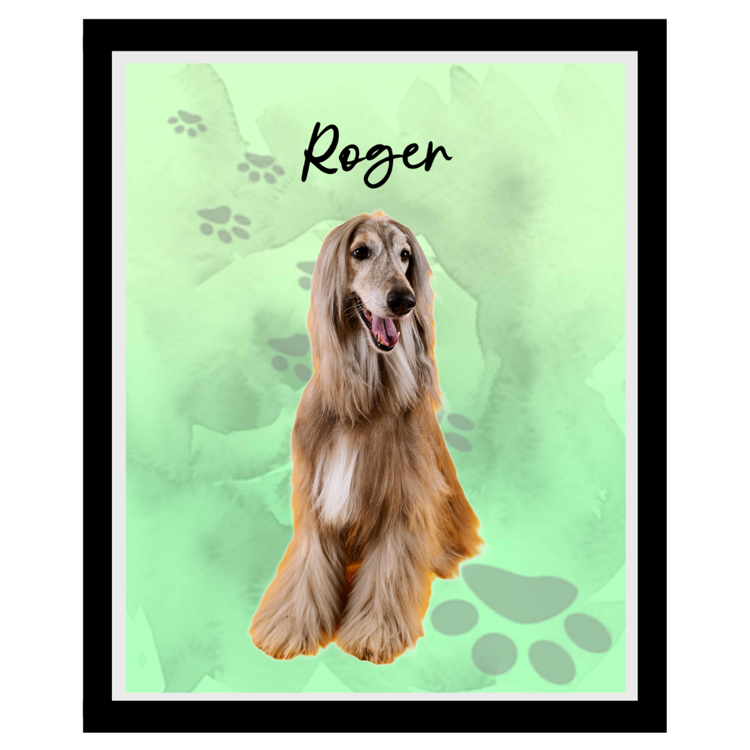 roger (5).png