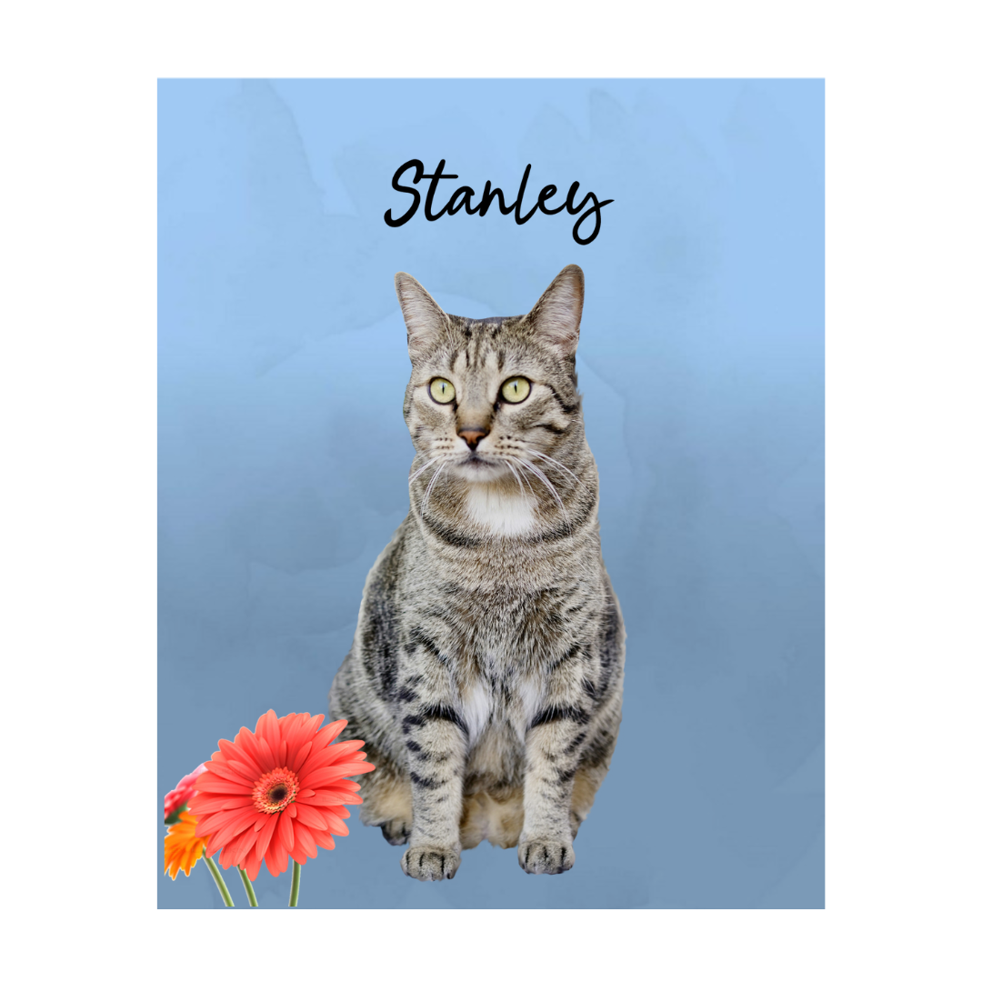 stanley (2).png