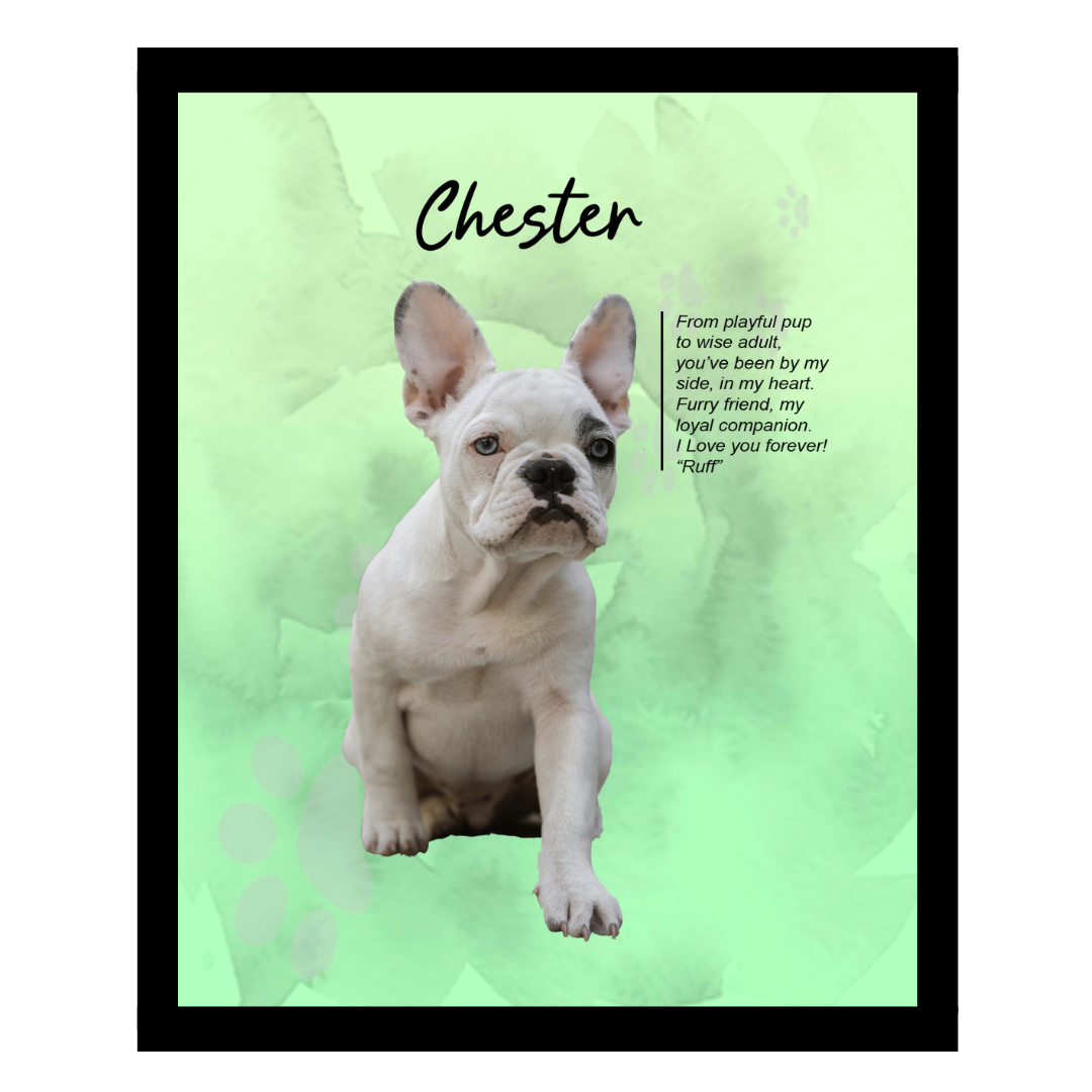chester.png