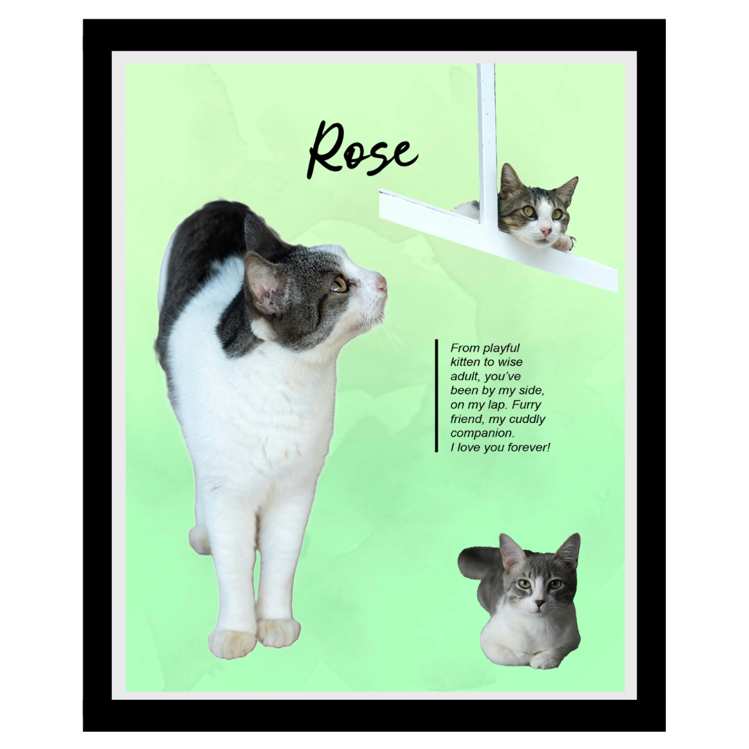 rose (3).png