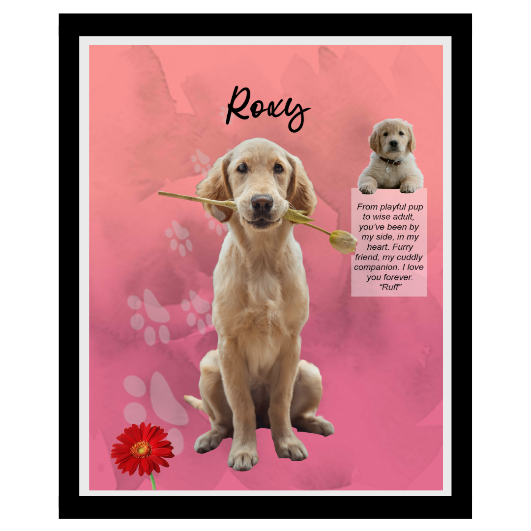 roxy (7).png