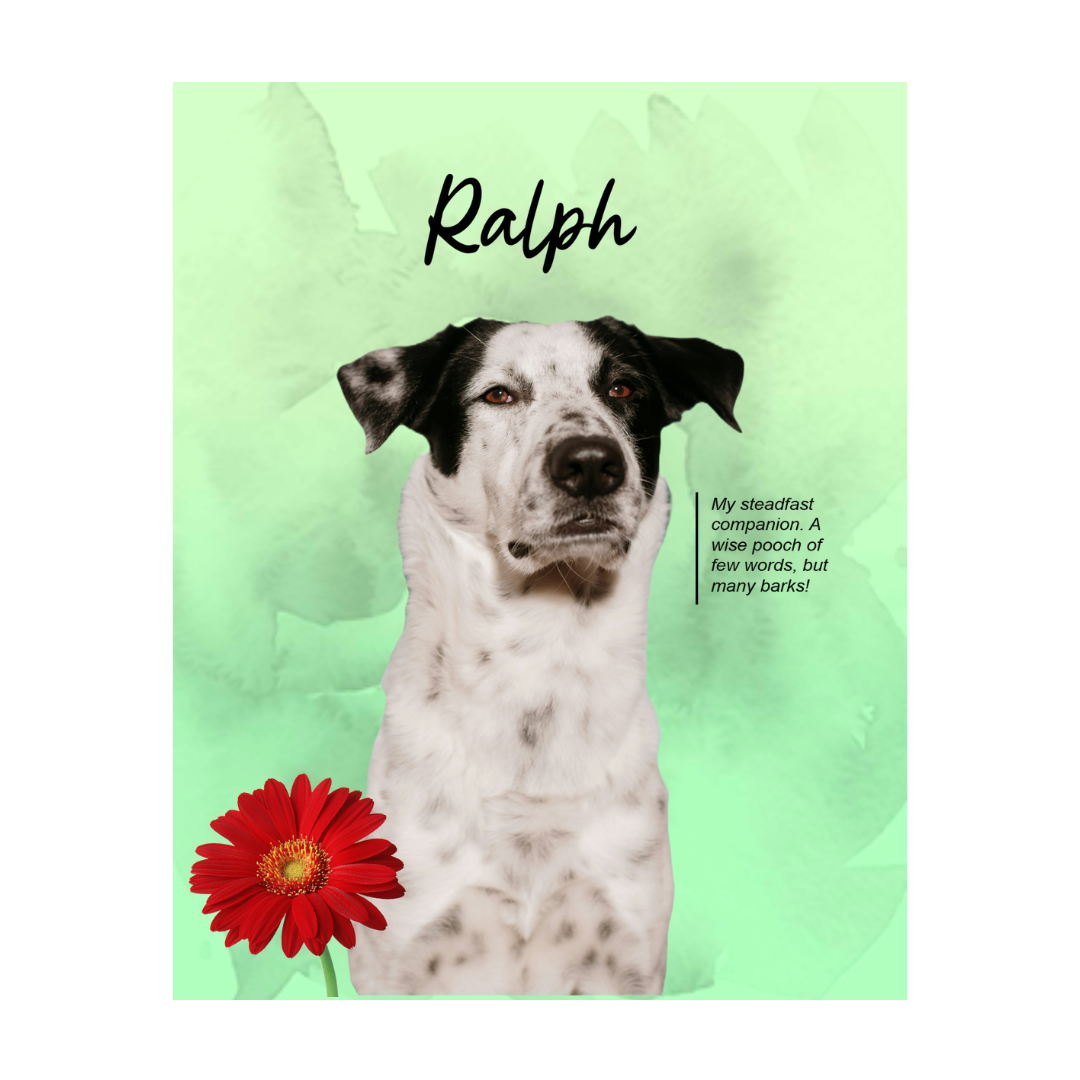 ralph (2).png