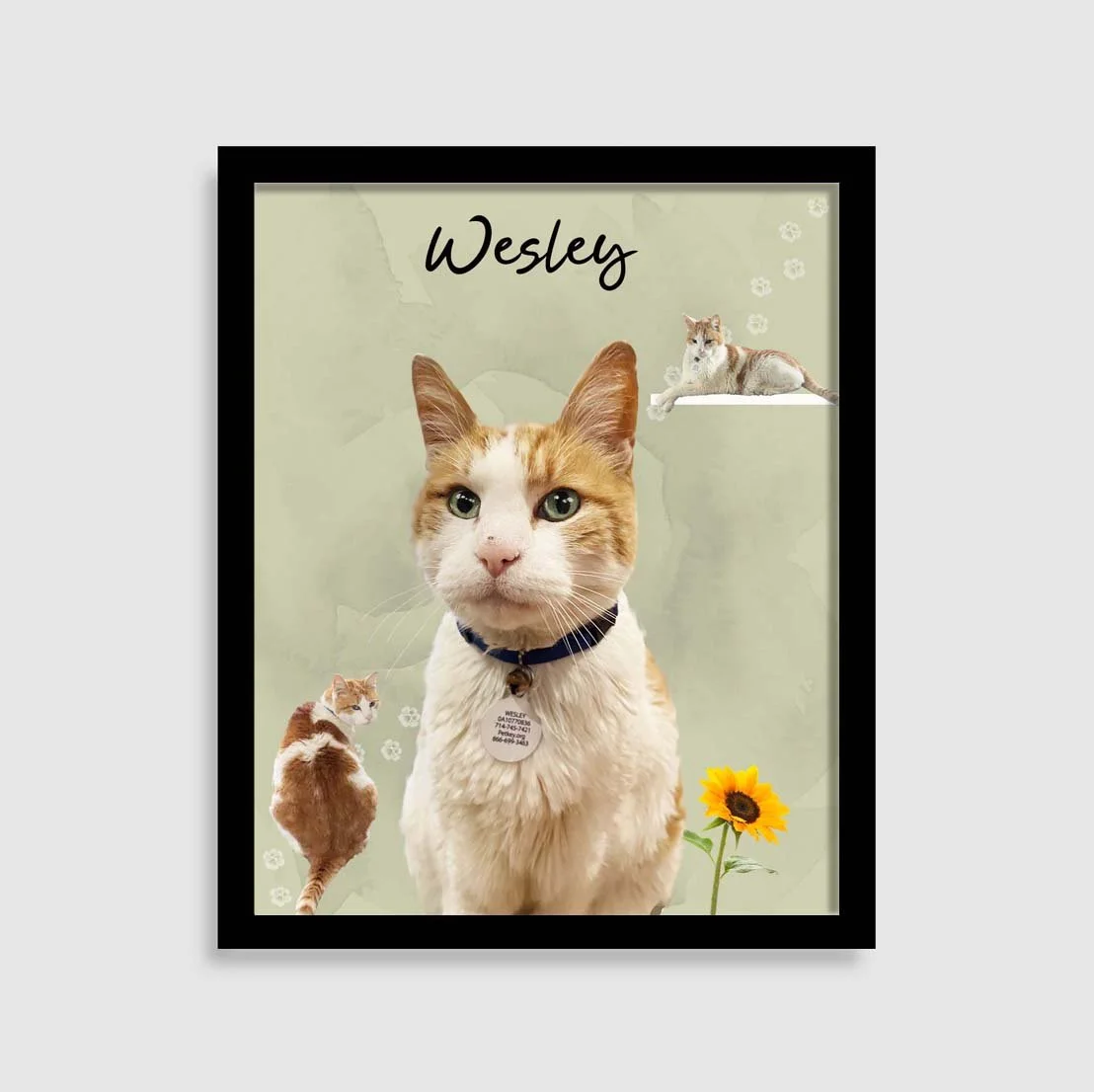 Westley sage 3.jpg (Copy)