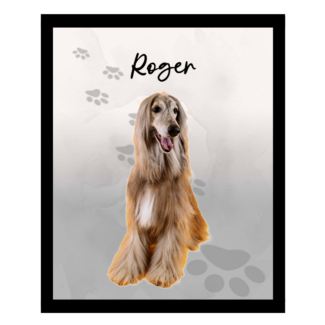 roger (3).png