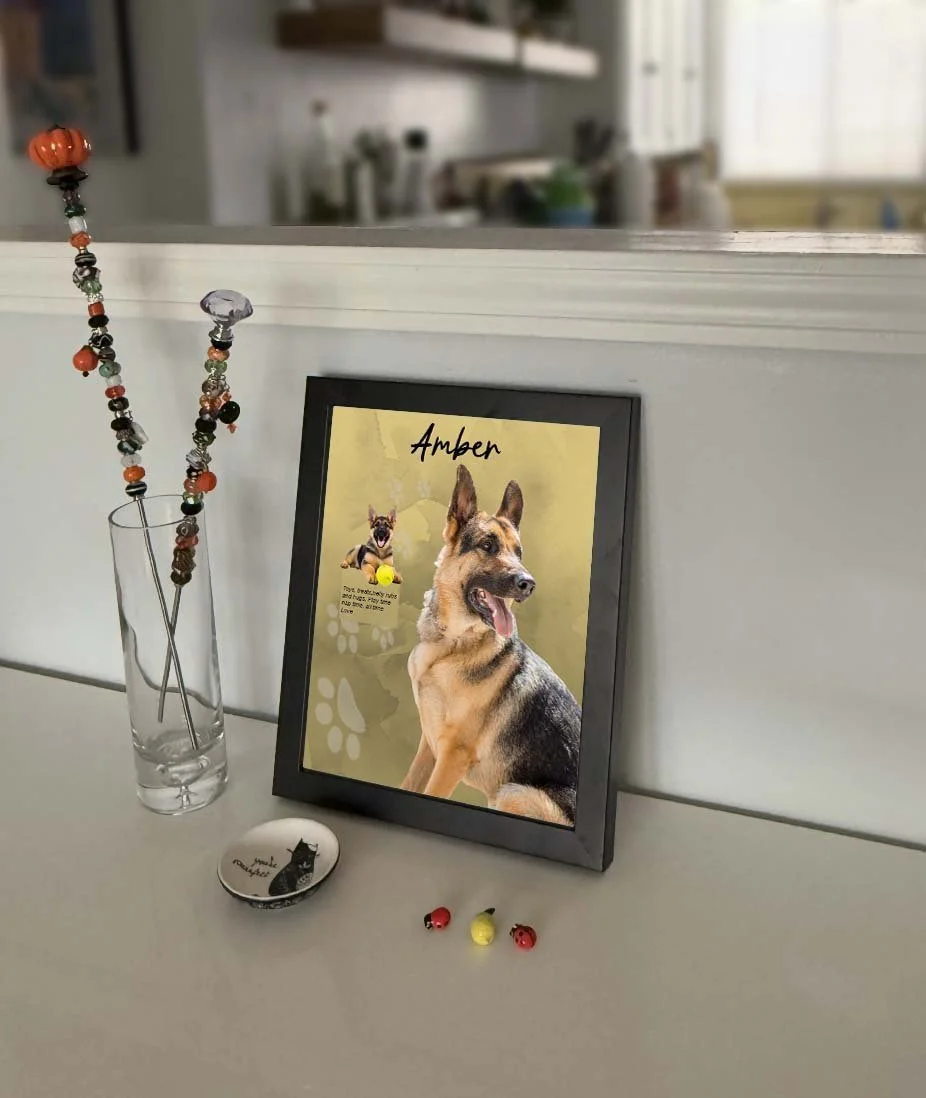 8X10 amber wall frame1.jpg