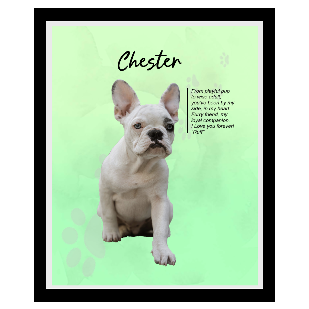 chester (10).png