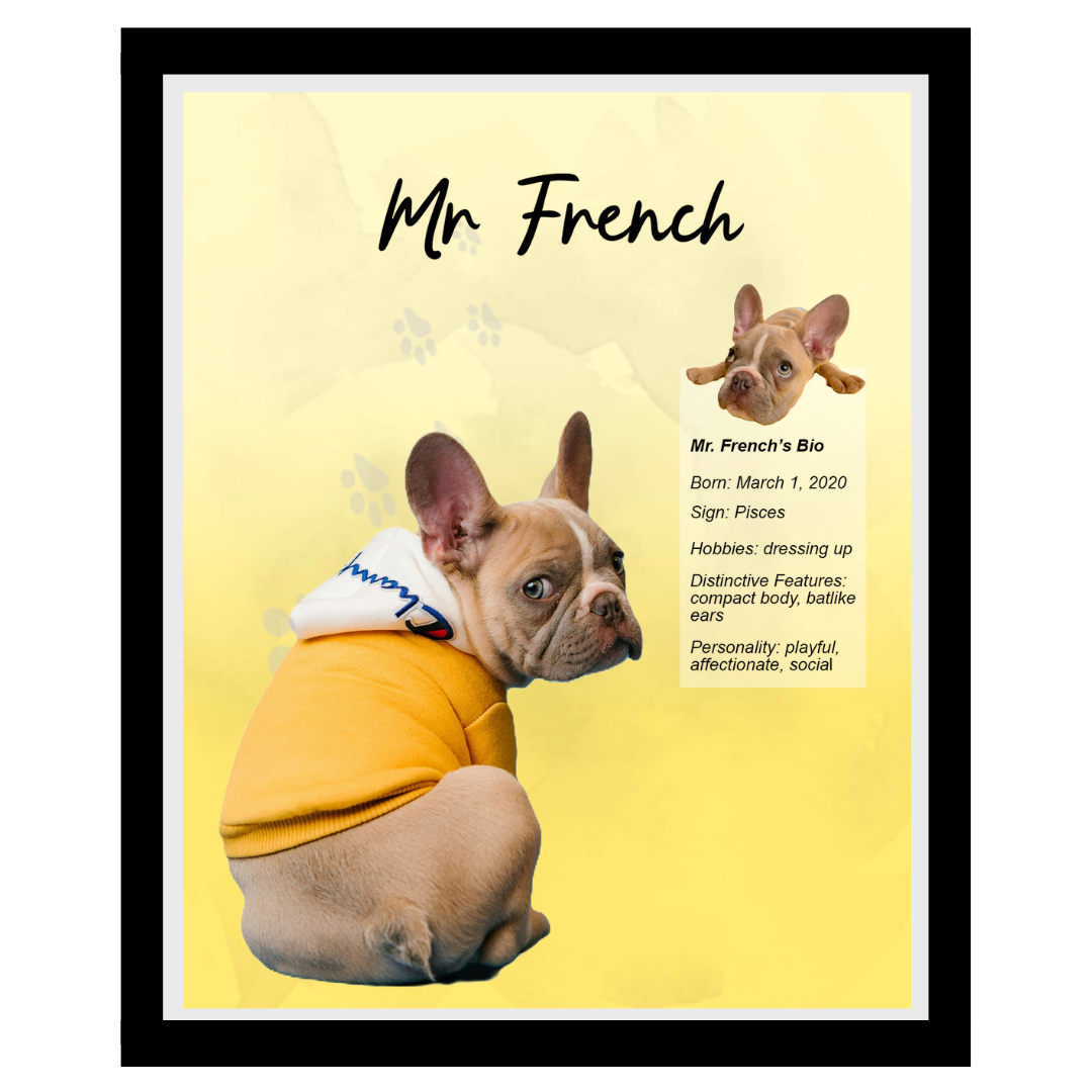 mr french (11).png