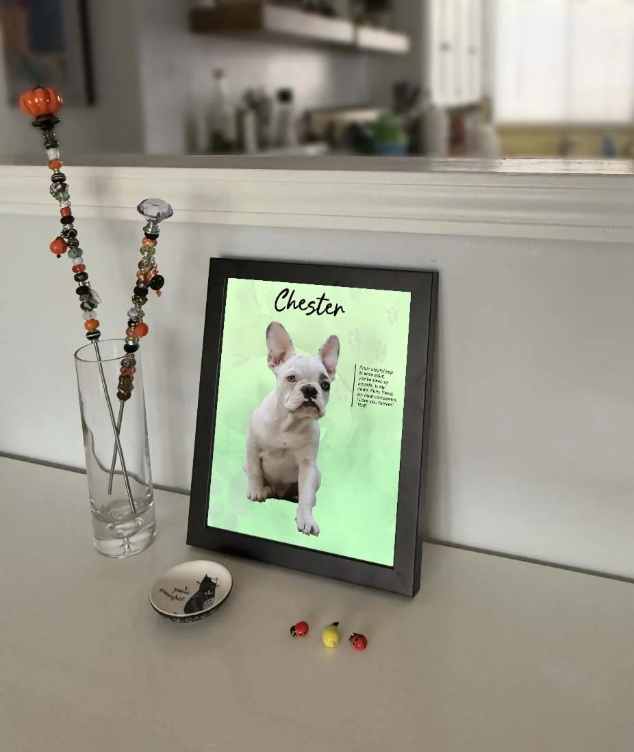 8X10 chester wall frame1.jpg
