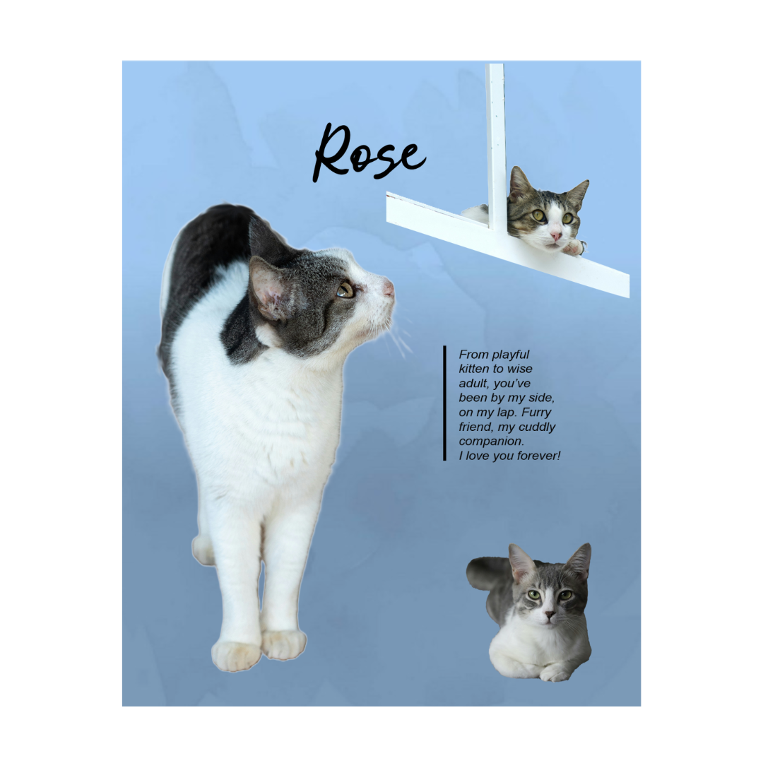 rose.png